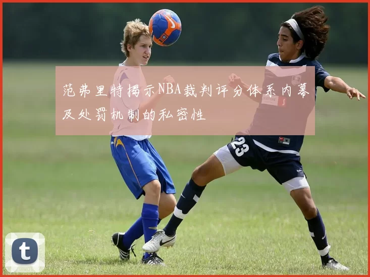 范弗里特揭示NBA裁判评分体系内幕及处罚机制的私密性